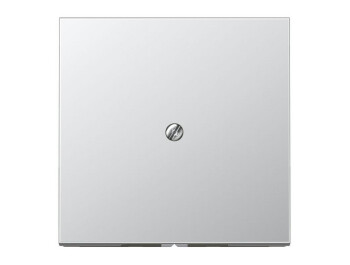 JUNG AL 2990 A LEITUNGSAUSLASS