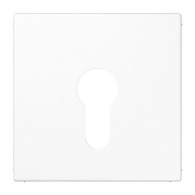 JUNG LS 925 WW ABDECKUNG FUER SCHLUESSELSCHALTER