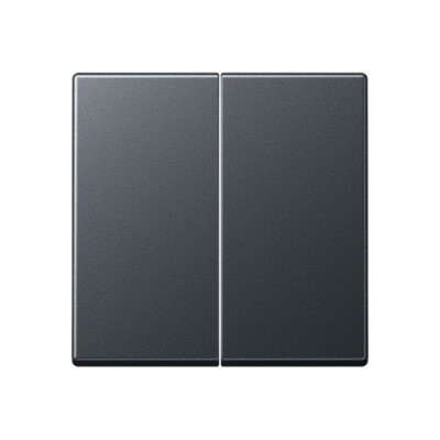 JUNG A 595 BF ANM Wippe f. Serienschalter