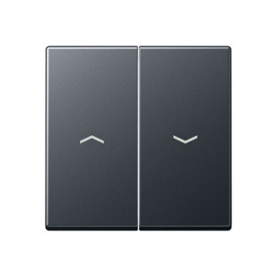 JUNG A 595 BF P ANM Wippe f. Jalousie-Schalter/-Taster