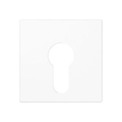 JUNG A 525 PL WW ABDECKUNG SCHLUESSELSCHALTER ALPINWEISS