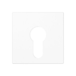 JUNG A 525 PL WW ABDECKUNG SCHLUESSELSCHALTER ALPINWEISS