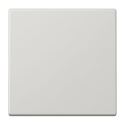 JUNG LS 990 LG FLAECHENWIPPE