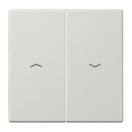 JUNG LS 995 P LG FLAECHENWIPPE