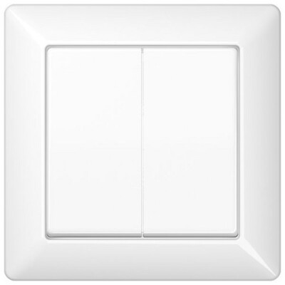 JUNG AS 590-5 WW Abdeckung für Serienschalter alpinweiss