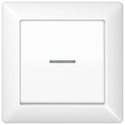 JUNG AS 590 KO5 WW Wippe mit Lichtleiter alpinweiss