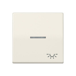 JUNG AS 591 KO5L Wippe mit lichtdurchlässigem Symbol...