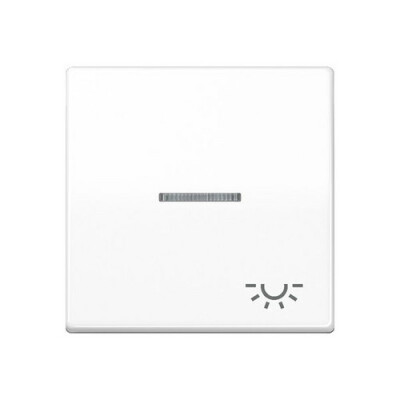 JUNG AS 591 KO5L WW Wippe mit lichtdurchlässigem Symbol Licht alpinweis