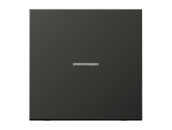 JUNG AL 2990 KO5 AN Wippe für Kontrollschalter AN