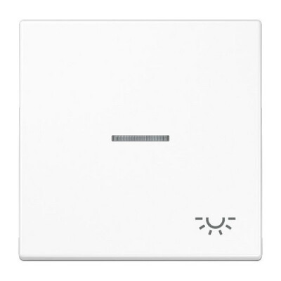 JUNG LS 990 KO5 L WW Wippe mit Symbol Licht