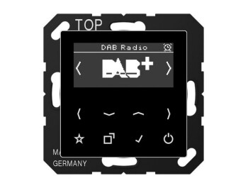JUNG DAB A SW Smart Radio DAB+