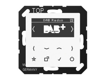JUNG DAB A WW Smart Radio DAB+