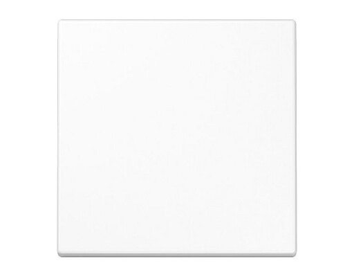 JUNG ENO LS 990 WW ENO Funk Wandsender 2 kanalig