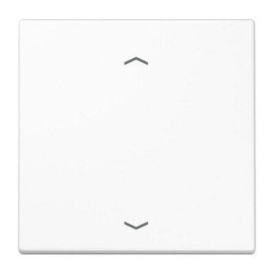 JUNG LS 1700 P WW Steuertaste Standard -Pfeile