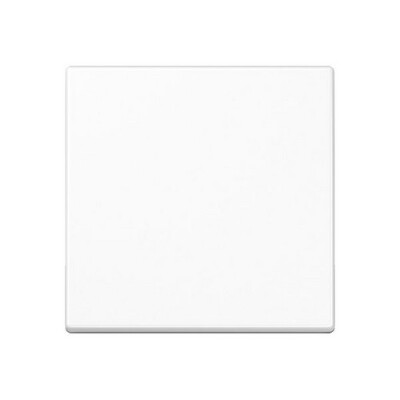 JUNG A 1700 BF WW A1700BFWW Steuertaste Standard