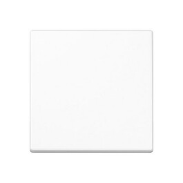 JUNG A 1700 BF WW A1700BFWW Steuertaste Standard