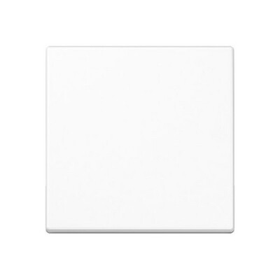 JUNG A 1700 WW A1700WW Steuertaste Standard