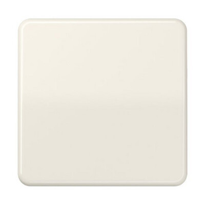 JUNG CD 1700 CD1700 Steuertaste Standard