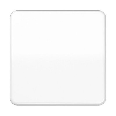 JUNG CD 1700 WW CD1700WW Steuertaste Standard