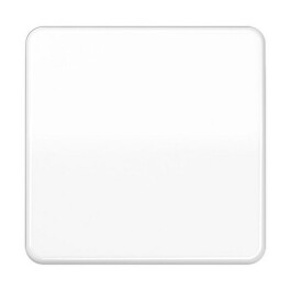 JUNG CD 1700 WW CD1700WW Steuertaste Standard