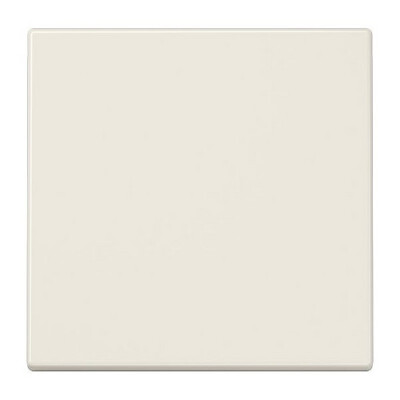 JUNG LS 1700 LS1700 Steuertaste Standard