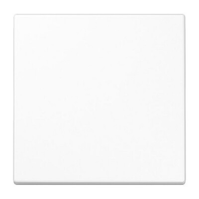 JUNG LS 1700 WW LS1700WW Steuertaste Standard