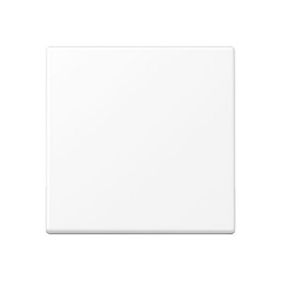 JUNG A 590 WWM Wippe f. Schalter/Taster