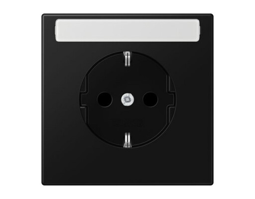 JUNG LS 1520 KINA SWM SCHUKO Steckdose m.Schriftf.KI