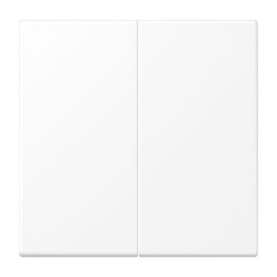 JUNG LS 995 WWM Wippe für Serienschalter