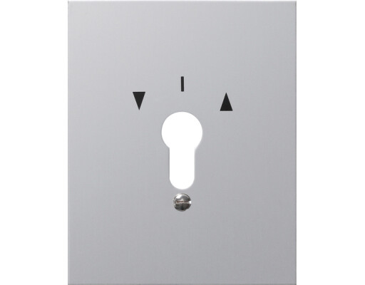 GIRA Metallabd. + Symbole WG AP Aluminium