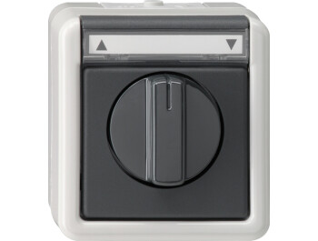 GIRA Jalousie 1-p BSF WG AP Grau