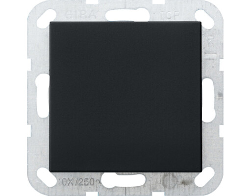 GIRA Blindabd. Tragring System 55 Schwarz m