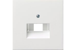 GIRA Abdeckung UAE/IAE + Netzwerk Flächenschalter...