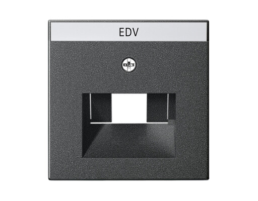 GIRA Abdeckung BSF UAE/IAE + Netzwerk System 55 Anthrazit