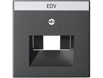 GIRA Abdeckung BSF UAE/IAE + Netzwerk System 55 Anthrazit