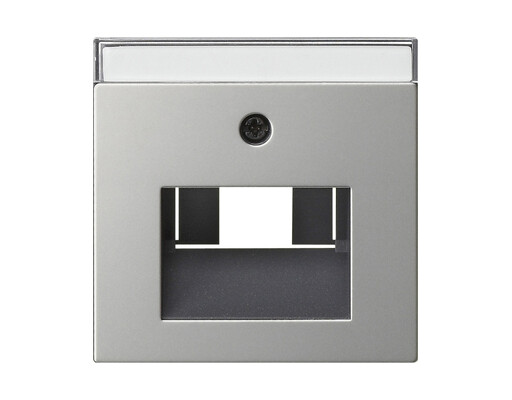 GIRA Abdeckung BSF UAE/IAE + Netzwerk System 55 Edelstahl