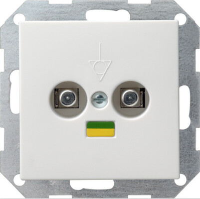 GIRA Potenzialausgleich-Dose 2-fach System 55 Reinweiß