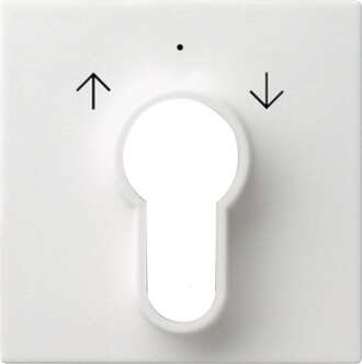 GIRA Abdeckung Schlüsselschalter/-taster System 55 Reinweiß