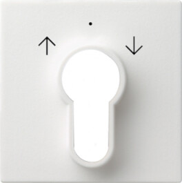 GIRA Abdeckung Schlüsselschalter/-taster System 55...