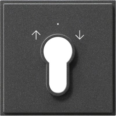 GIRA Abdeckung Schlüsselschalter/-taster Gira TX_44 (WG UP) Anthrazit