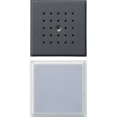 GIRA Türstation 1-fach UP Gira TX_44 (WG UP) Anthrazit
