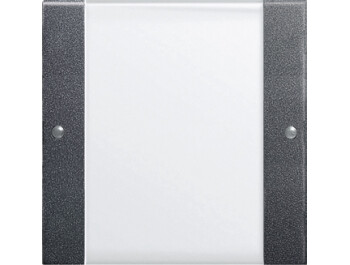 GIRA Wippenset 1-fach BSF System 55 Klar/Anthrazit