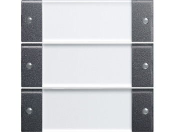 GIRA Wippenset 3-fach BSF System 55 Klar/Anthrazit