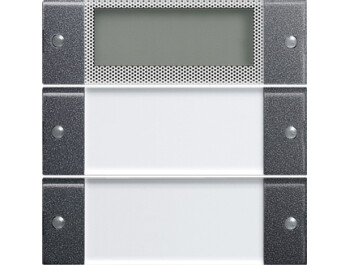 GIRA Wippenset 2-fach Plus BSF System 55 Klar/Anthrazit