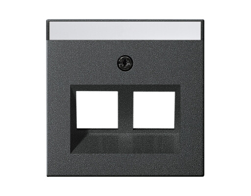 GIRA Abdeckung 30° + BSF f. Tragring MJ 2-fach System 55 Anthrazit