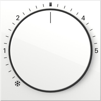 GIRA Abdeckung RTR Kontroll System 55 Reinweiß