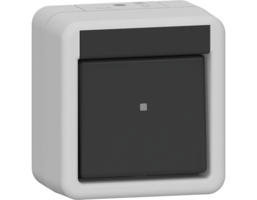 GIRA Wippschalter Aus 2-p WG AP Grau