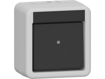 GIRA Wippschalter Aus 2-p WG AP Grau