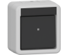 GIRA Wippschalter Aus 2-p WG AP Grau