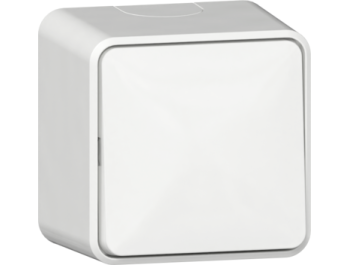 GIRA Wippschalter AusWe + Montageplatte AP Reinweiß